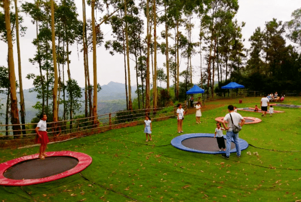 打卡60000㎡森林式户外乐园网红秋千角色换装游乐园99元畅玩所有项目