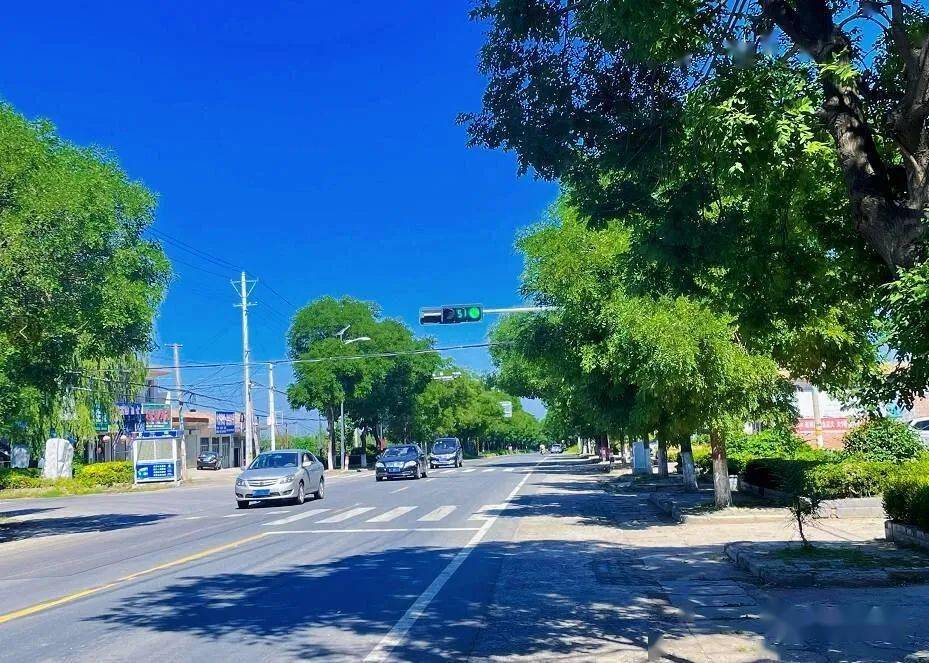 土桥镇内外兼修打好生态环境组合拳