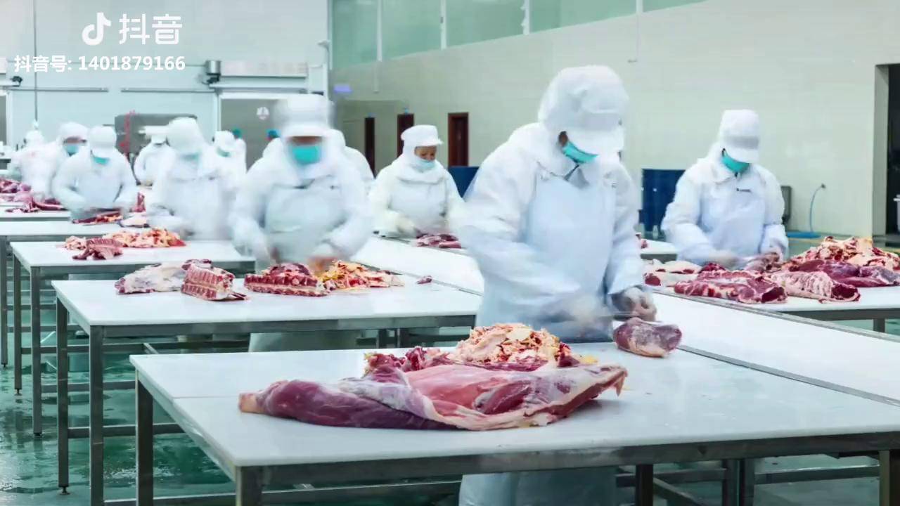 论牛肉排酸的重要性广西最大的牛肉加工冷链通讯员叶砚霞