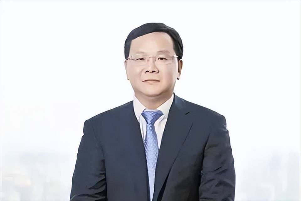 中财保原总裁林智勇被查云南女副厅贾力被查