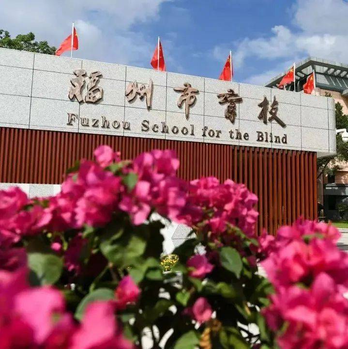 精神文明建设丨志愿服务到盲校,共度特别“六一”节_机关_活动_师生