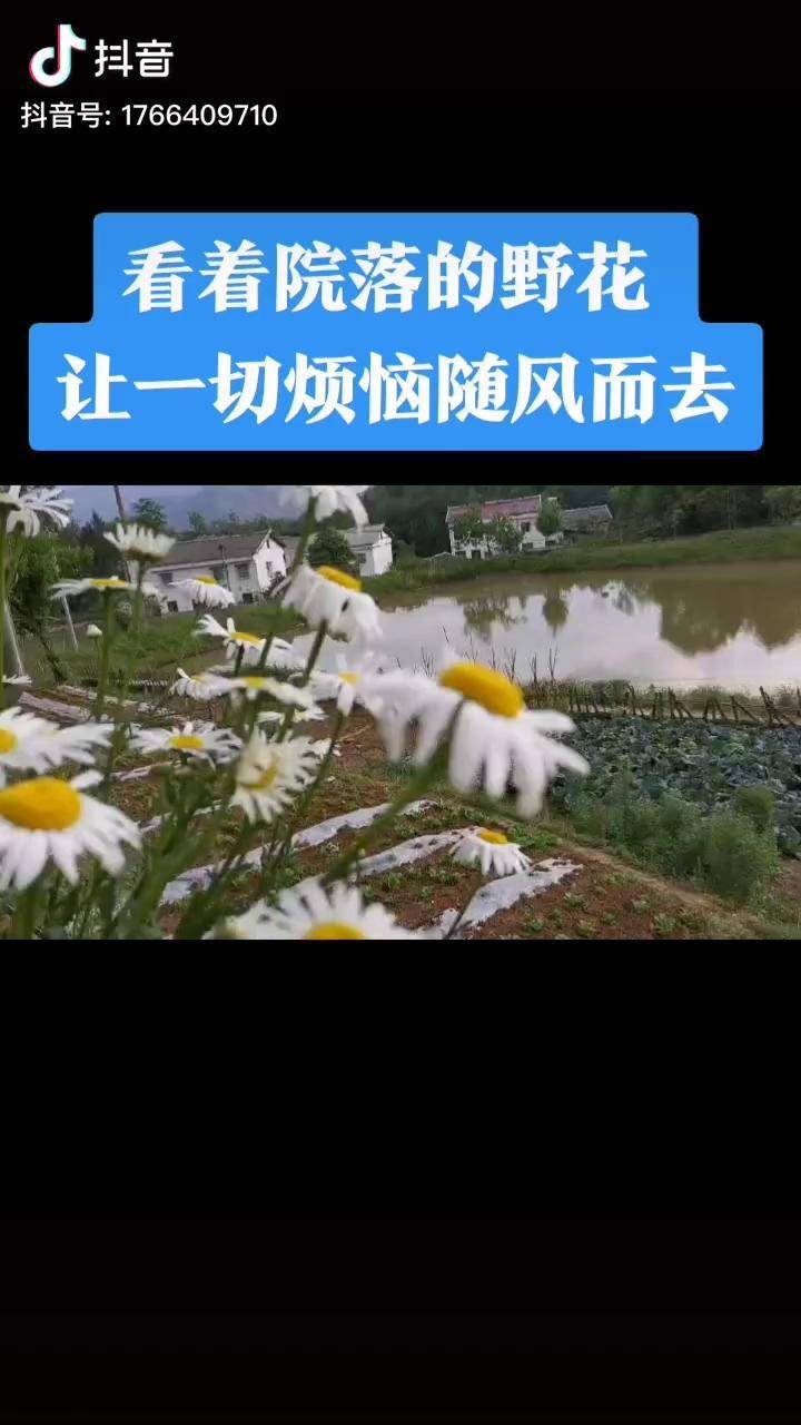 看着院落的野花让一切烦恼随风而去农民种地不容易奋斗吧青春你的年度