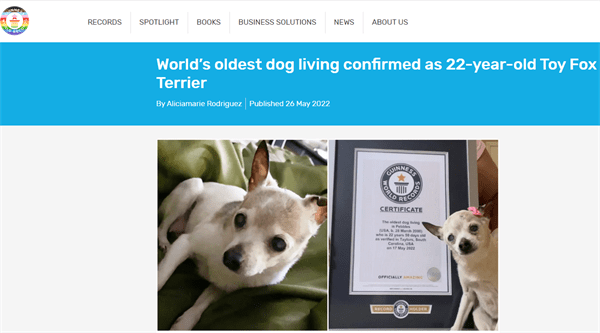 吉尼斯纪录官网公布了世界上最长寿小狗的照片