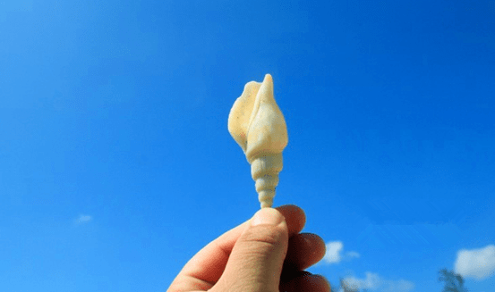 63成行特价128元惠东海螺角每周六日出发海螺角海岸线捡海螺赏巨石阵