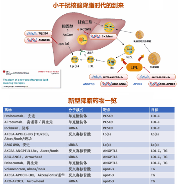 达比加群酯药理机制图片