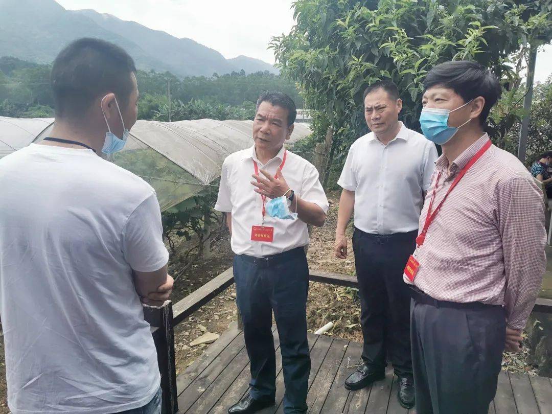 李凡带领部分市人大常委会组成人员,市人大代表赴连江县开展乡村文旅