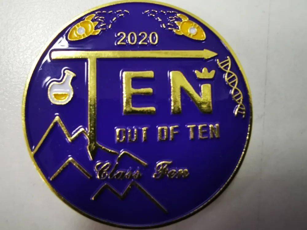 【迎盛会 铸忠诚 强担当 创业绩】杨村一中高二10班荣获天津市优秀