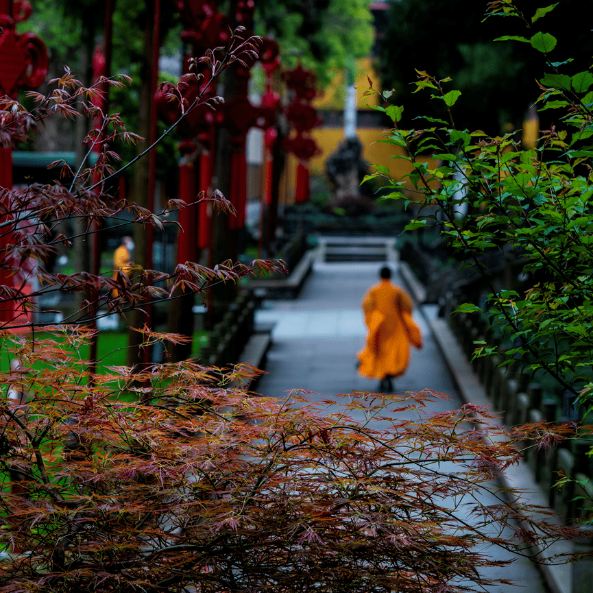 世常存藏识|灵隐寺具德弘礼禅师求道因缘与弘化事迹藏识|南宋灵隐寺