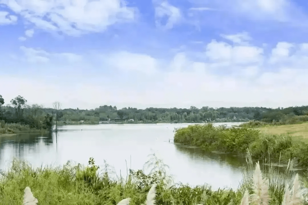 成都繞城高速→渝蓉高速成都出口→成洛大道→青龍湖公園3.