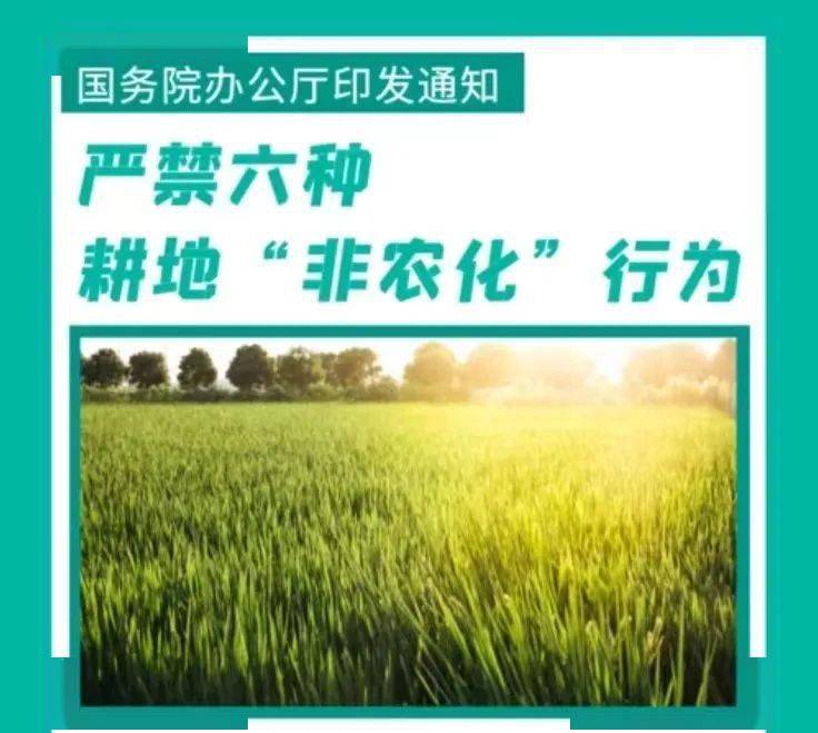 2020年9月10日,国务院印发《关于坚决制止耕地"非农化"行为的通知》