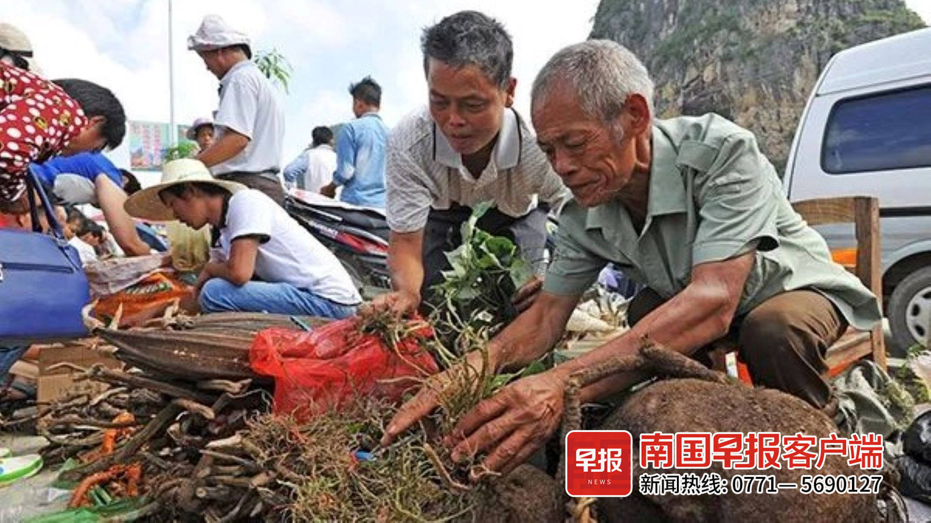 靖西文化館供圖父親曾告訴周玲,從祖輩開始,當地農民就有在農閒時上山