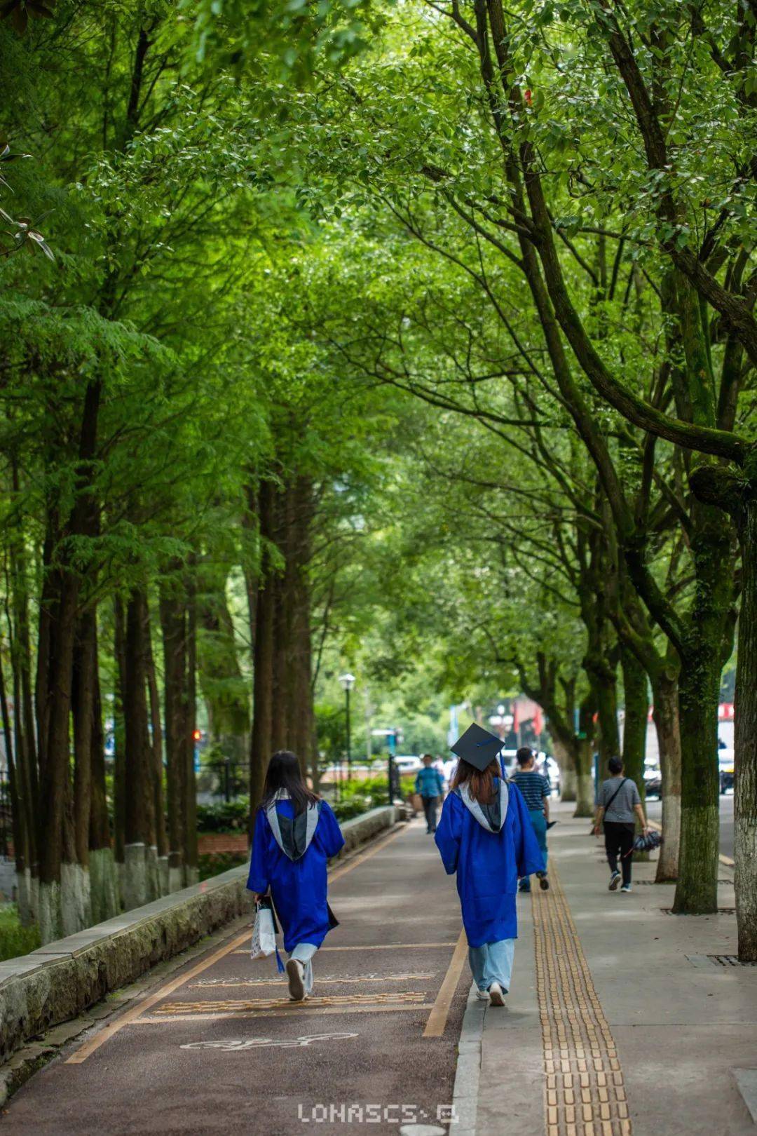 湖南大學,美到不想畢業_山南路_校園_千年