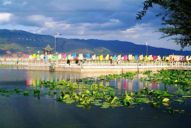 陆良白水塘风景区图片