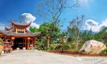 明溪紫雲村觀鳥基地將樂龍棲康養小鎮森林醉氧建寧金鐃山永安桃源洞