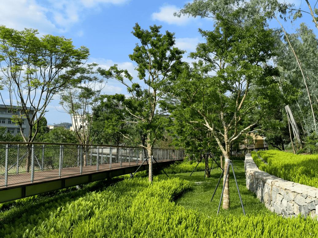 深圳首座区级专类儿童公园自然不一样