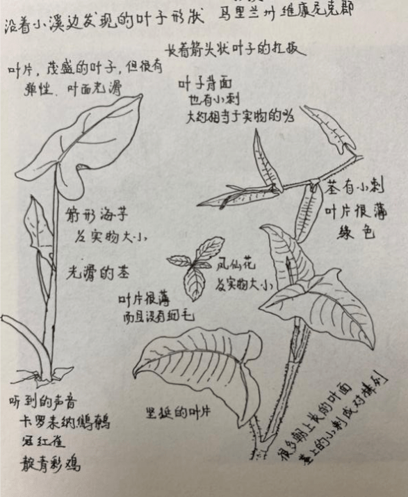 梨树沟休闲小镇博物自然植物科普花仙子之旅
