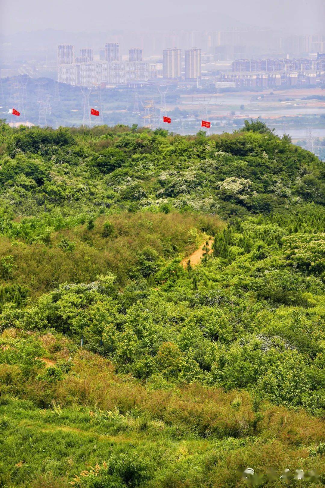 大军山旅游区图片