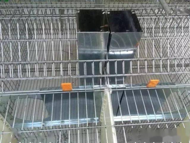 介绍一种养兔用铁丝网兔笼结实耐用使用简便