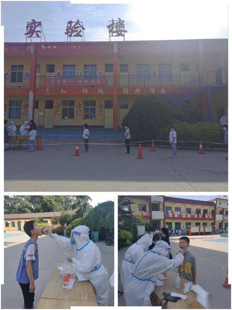 全力以"复",时光如初——贺进镇沙洺中心小学