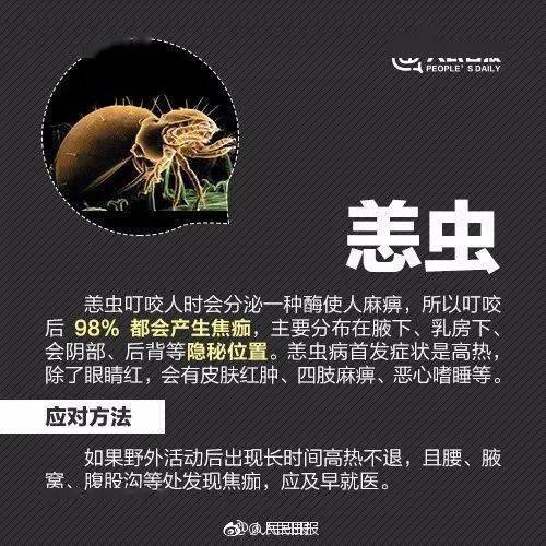 比增城蚊子更恐怖的,是這個._症狀_蠓蟲_嚴重