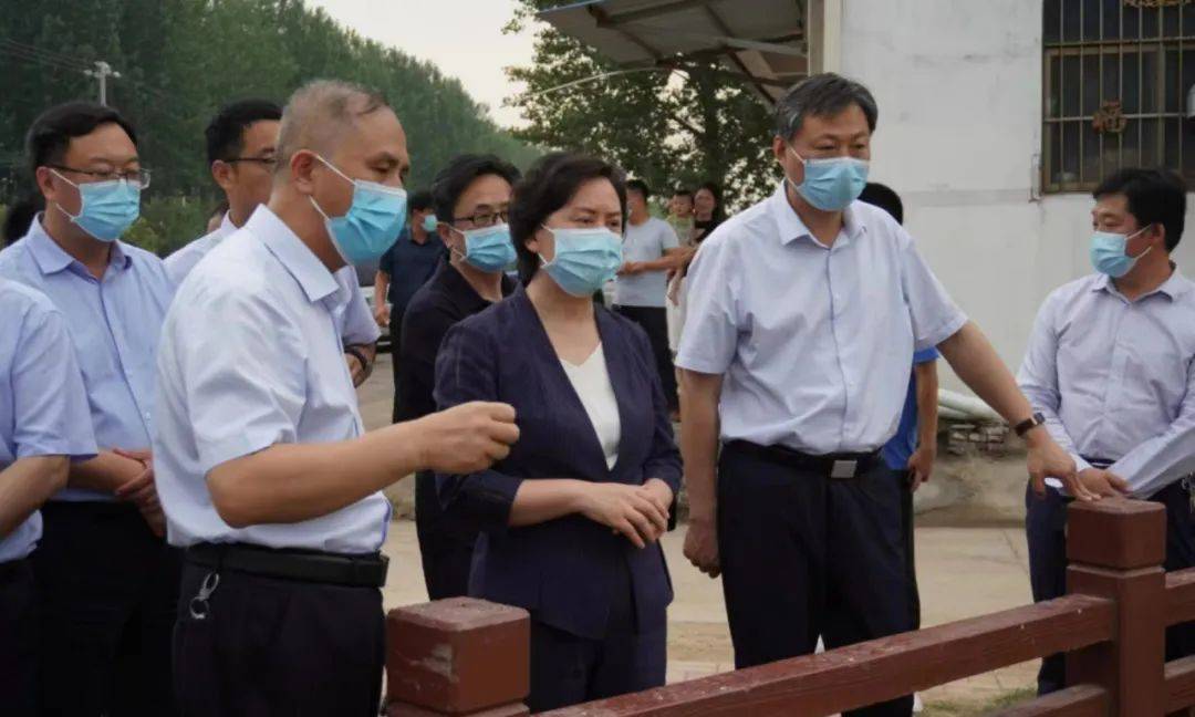 周口市委副书记政法委书记岳文华到淮阳区调研指导农村生活污水治理