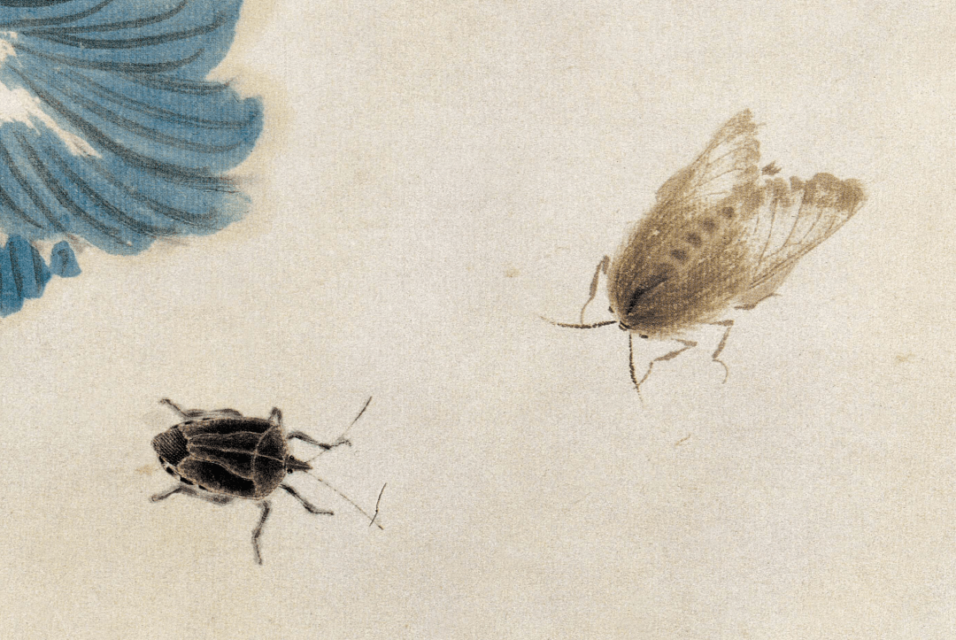 齐白石的草虫世界生机盎然