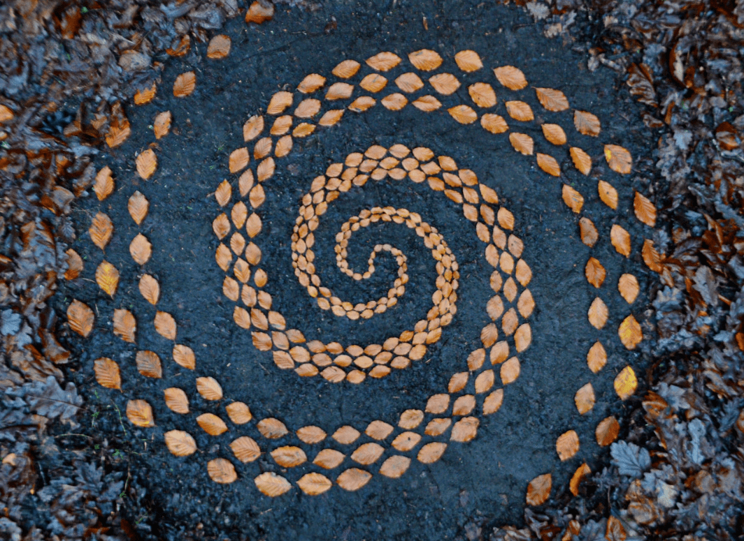 他用普通的树叶,拼凑出超解压的图案_大地_乔恩·福尔曼_艺术