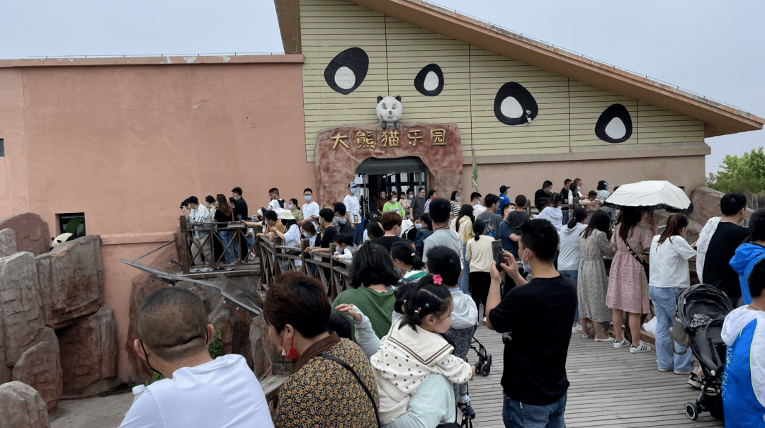 大豐港動物園竹林大飯店草房子樂園知青農場夢幻迷宮涼爽一夏逍遙夜遊