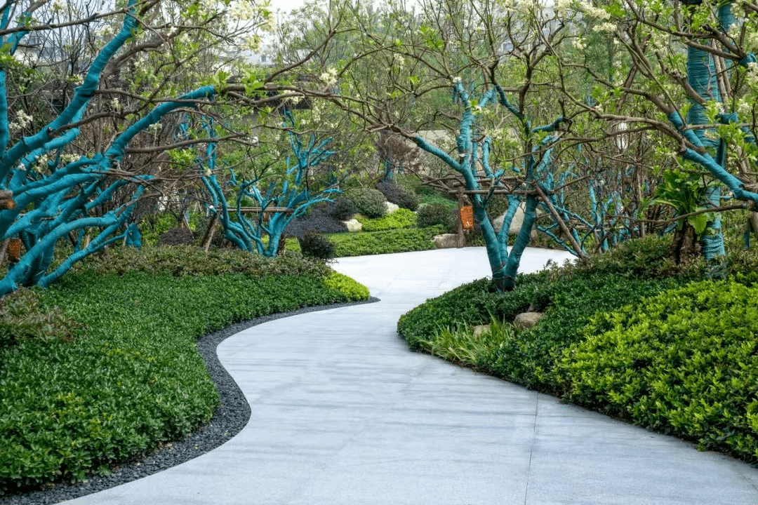 干货丨园路巷道绿篱的种植形式