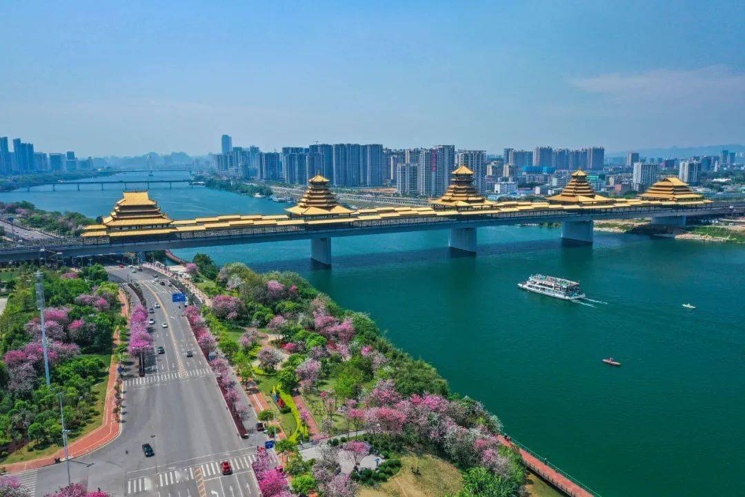 获奖作品展|点开看,六五环境日系列活动之"柳州生态文明建设"摄影大赛