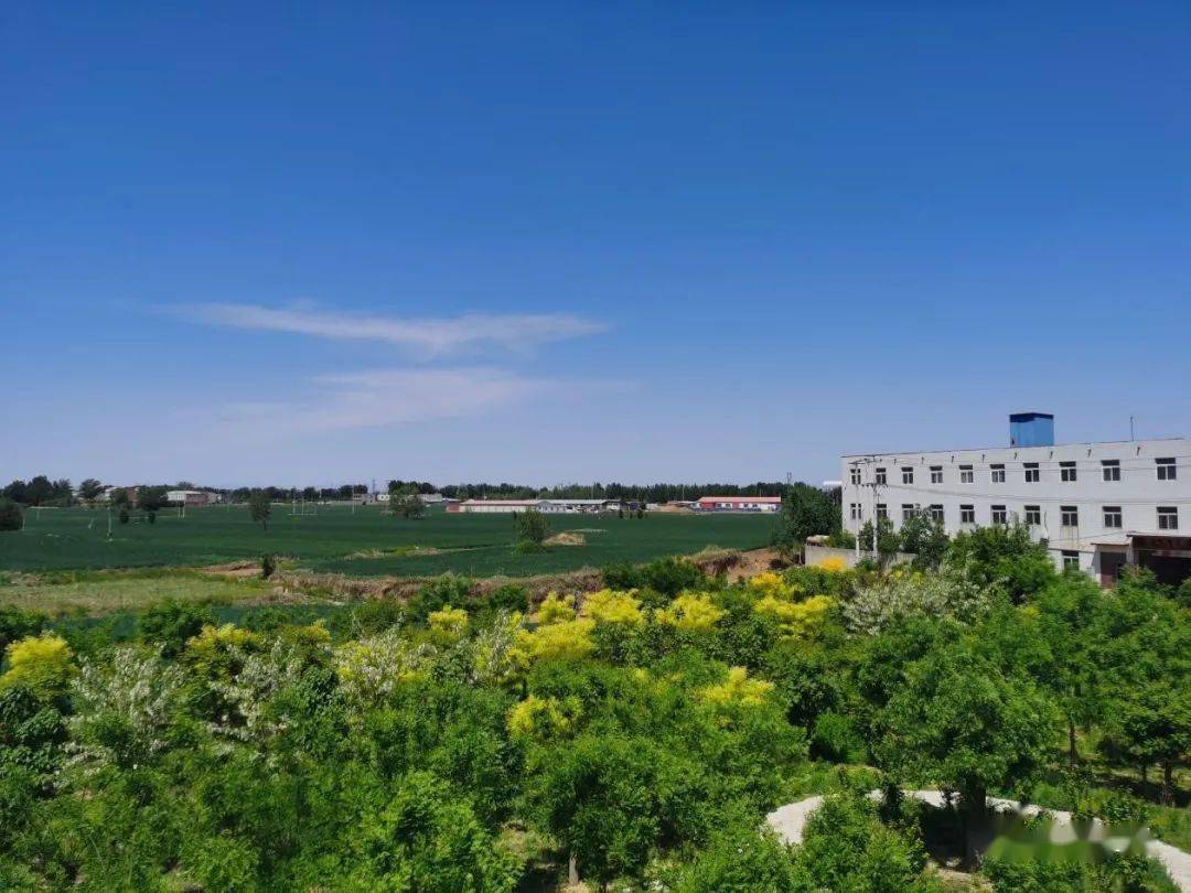 三台镇扎实推进乡村振兴和美丽乡村建设各村在行动