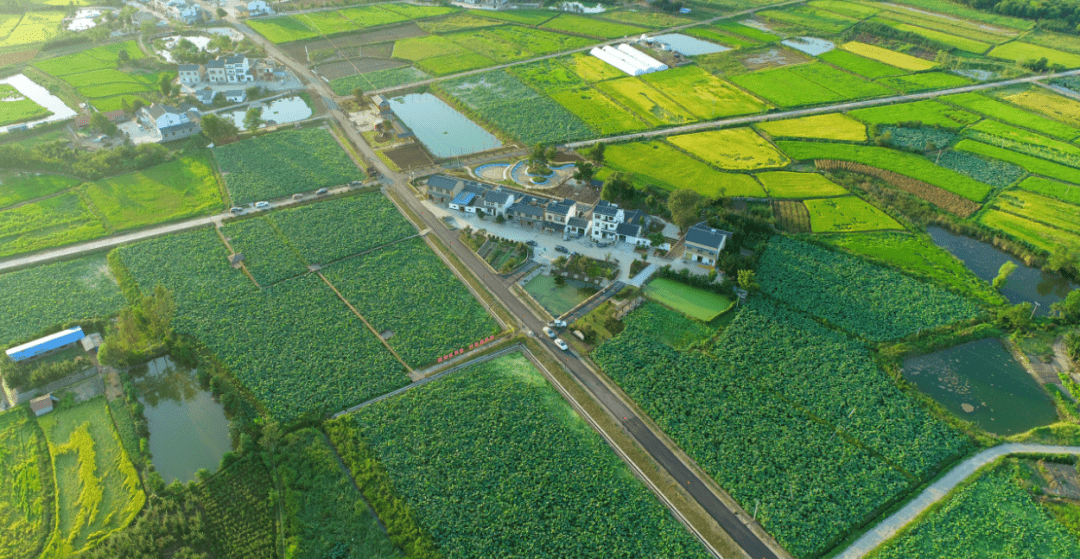 京山市a級景區認真落實省文旅廳a級旅遊景區優惠措施相關要求,綠林山