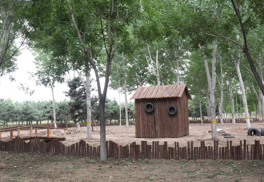 新闻速递 | 野鸡野兔常打照面,西集林地里的"动物乐园"又增加两处_本