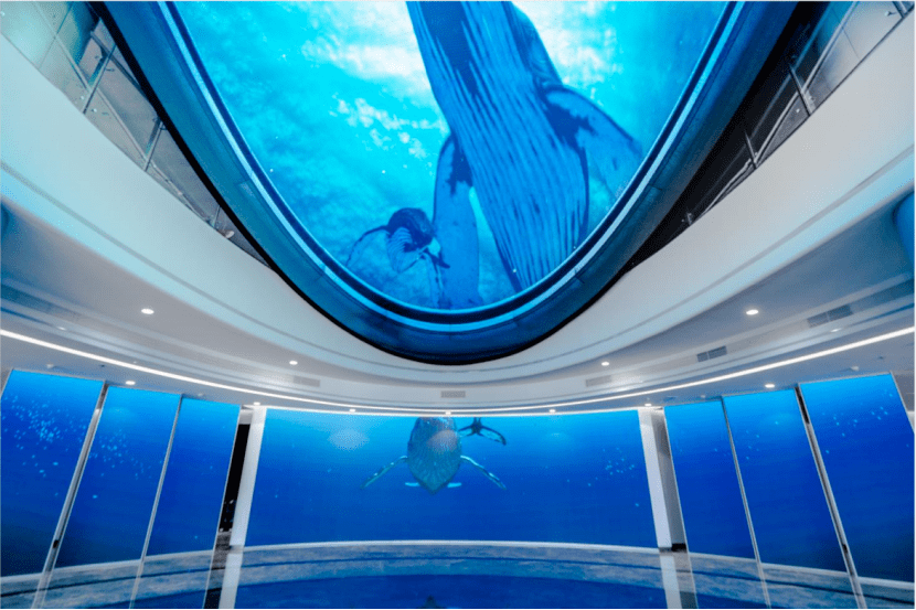 威海海洋科技馆对外开放!预约流程来了_信息_观众_时间