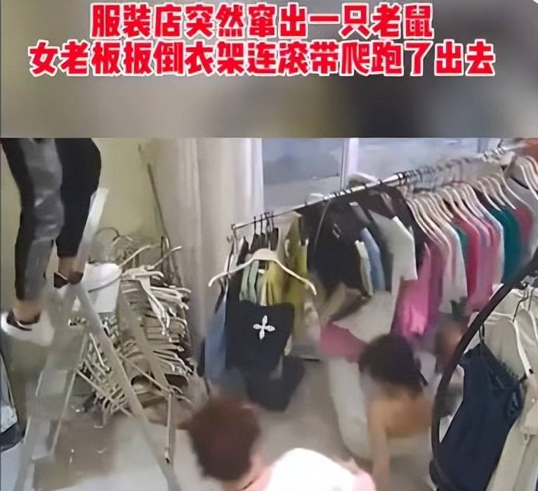 服装店突然窜出大老鼠，时髦女老板吓得扳倒衣架，连滚带爬跑出去女子jpbljp来源 4350