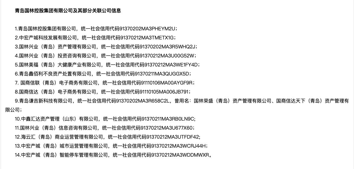 国林系多家公司涉非吸被立案 曾以假材料冒充国企被打假(图4)