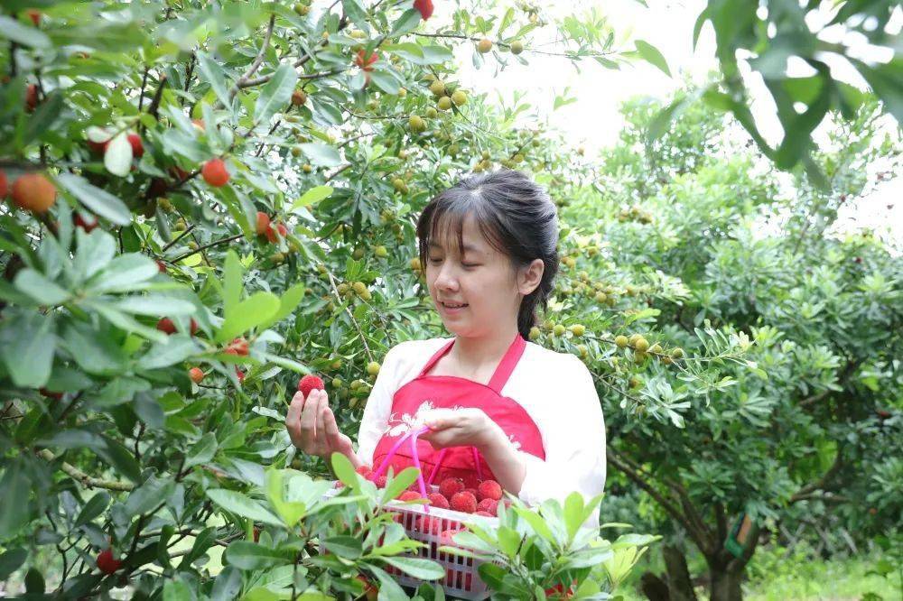 去村里玩吧!一起走进永定这个古风打卡地