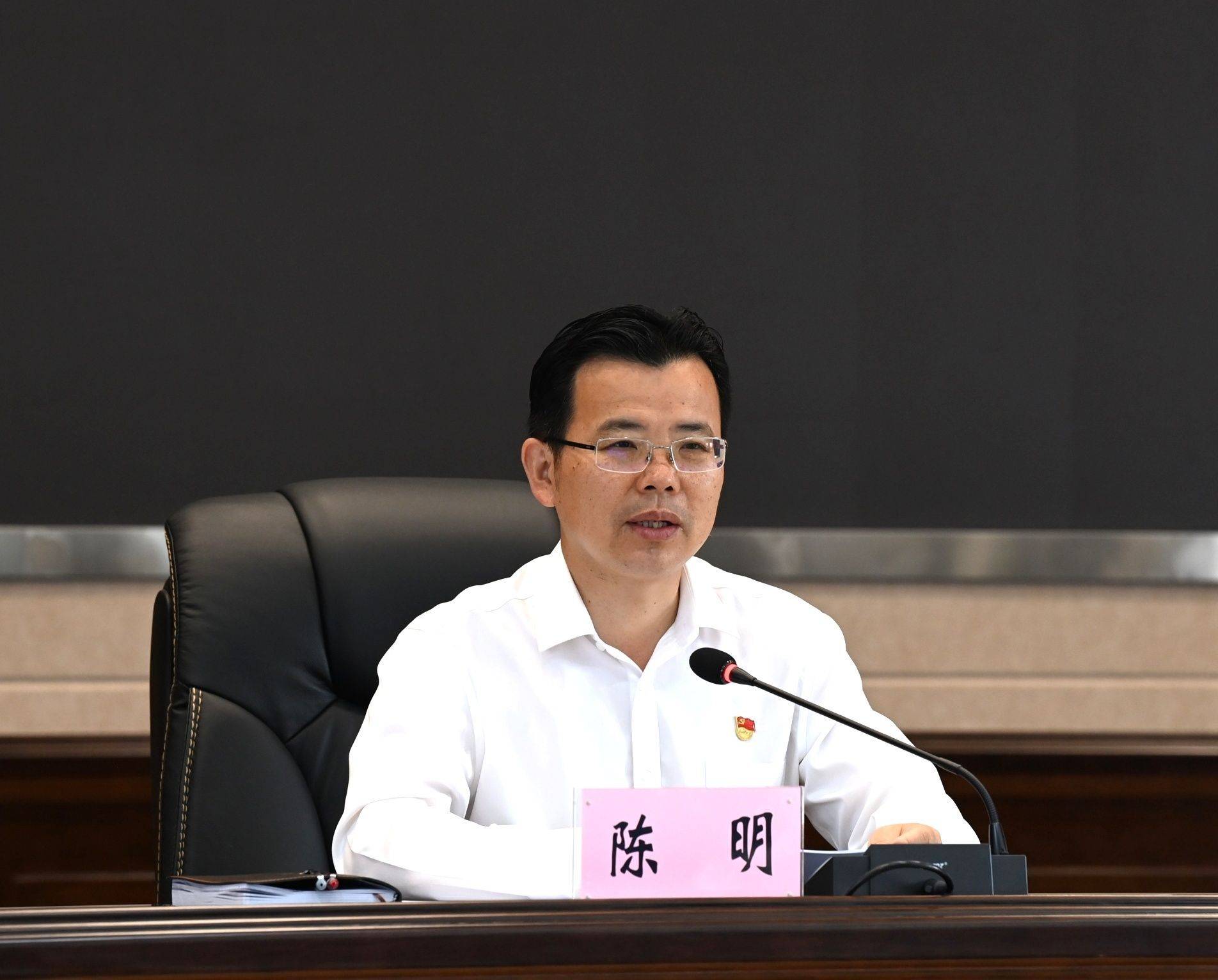 陈明在全州市域社会治理现代化暨命案防控工作推进会上强调:为党的