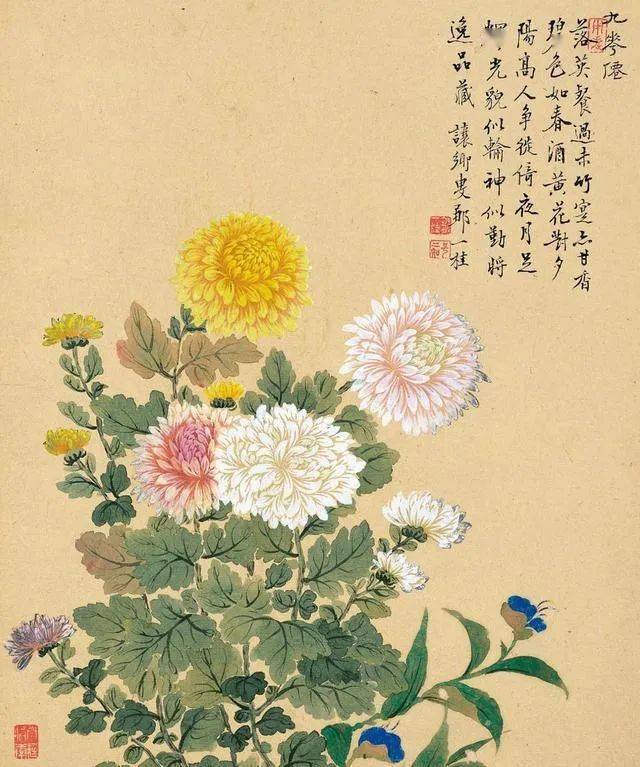 清鄒一桂花卉畫冊冊菊花- 故宮
