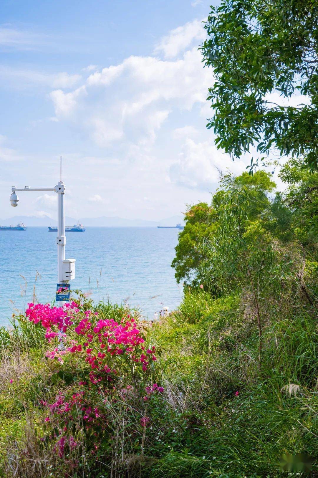 来深圳官湖村,看海吧!