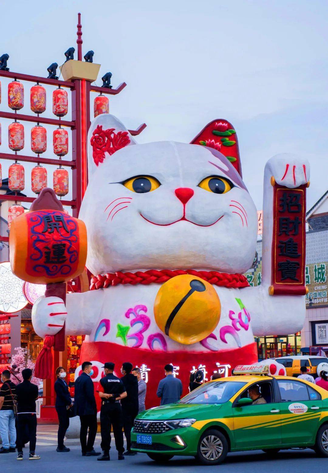 超级大"猫咪"空降这里……_梅河_东北_精神