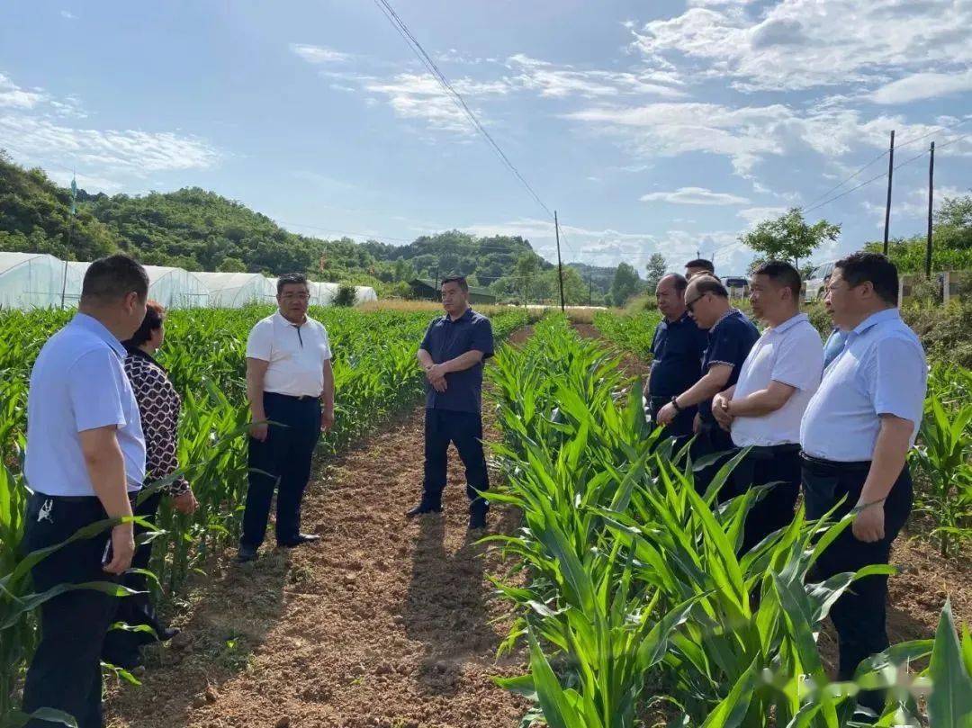 朱宝莹一行来徽县调研农业农村重点工作_渔业_资源_徽县