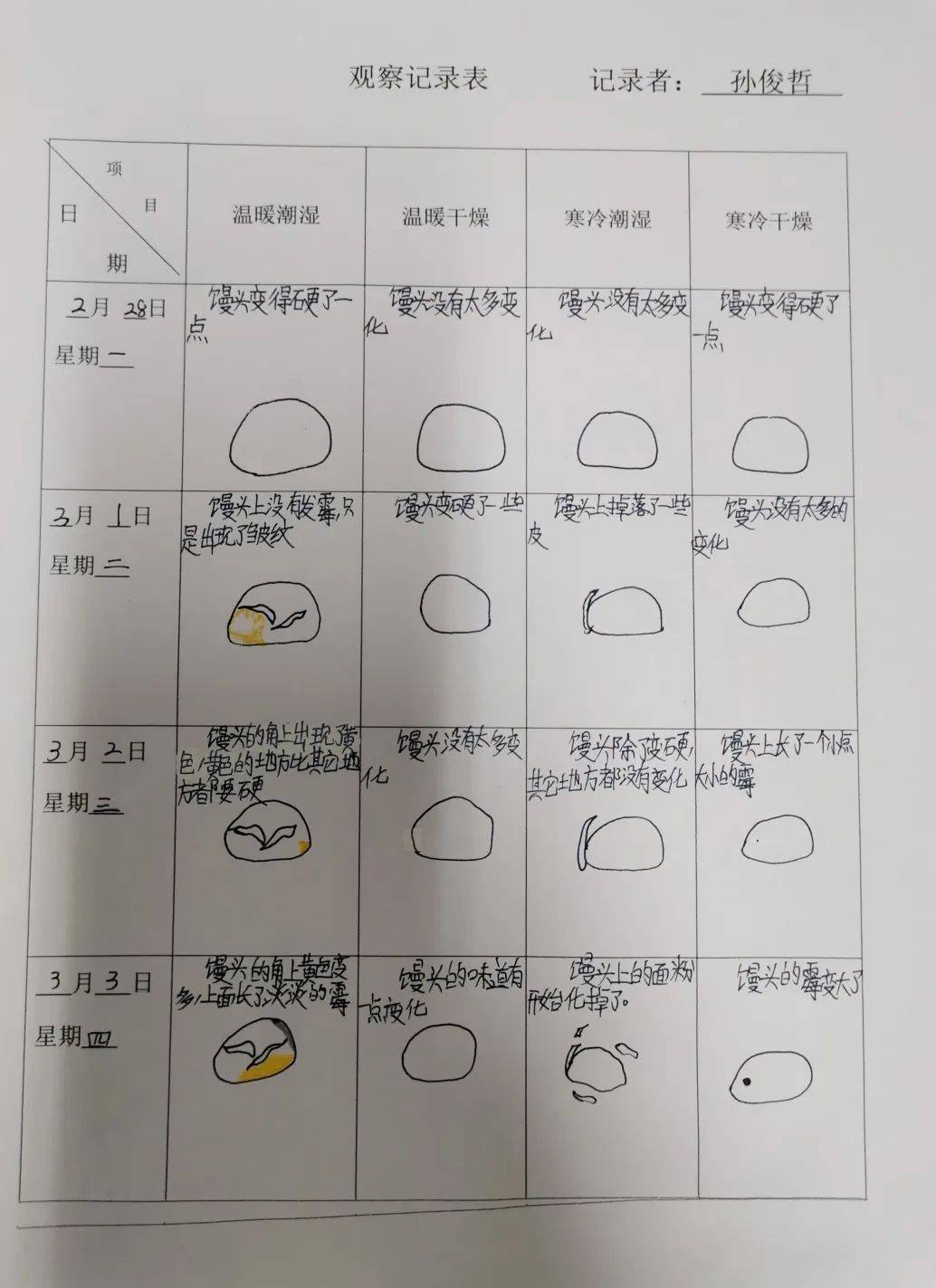 央小61落实双减 我们的作业不一般90霉霉养成记‖五年级小秧苗