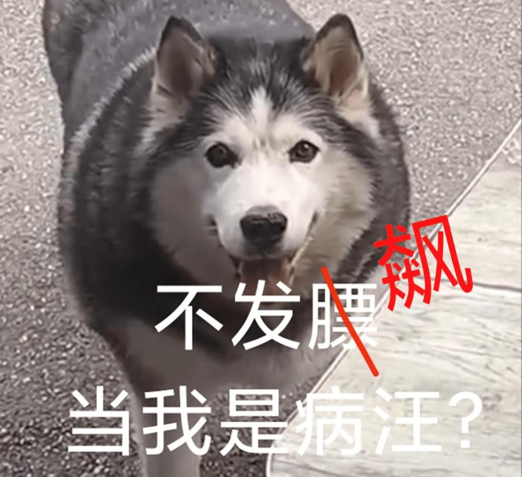 抖音最痴情舔狗火了连吃819天烧饼人送外号饼太郎