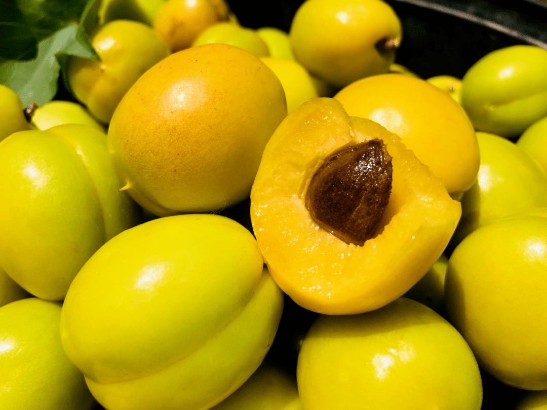 6月,那只生长于泰山脚下,唯一能与新疆小白杏媲美的,半野生珍珠油杏