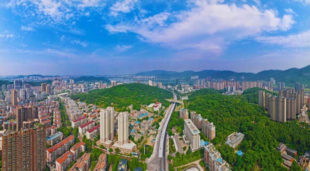 蹚出转型拓新路_下陆区_发展_城市