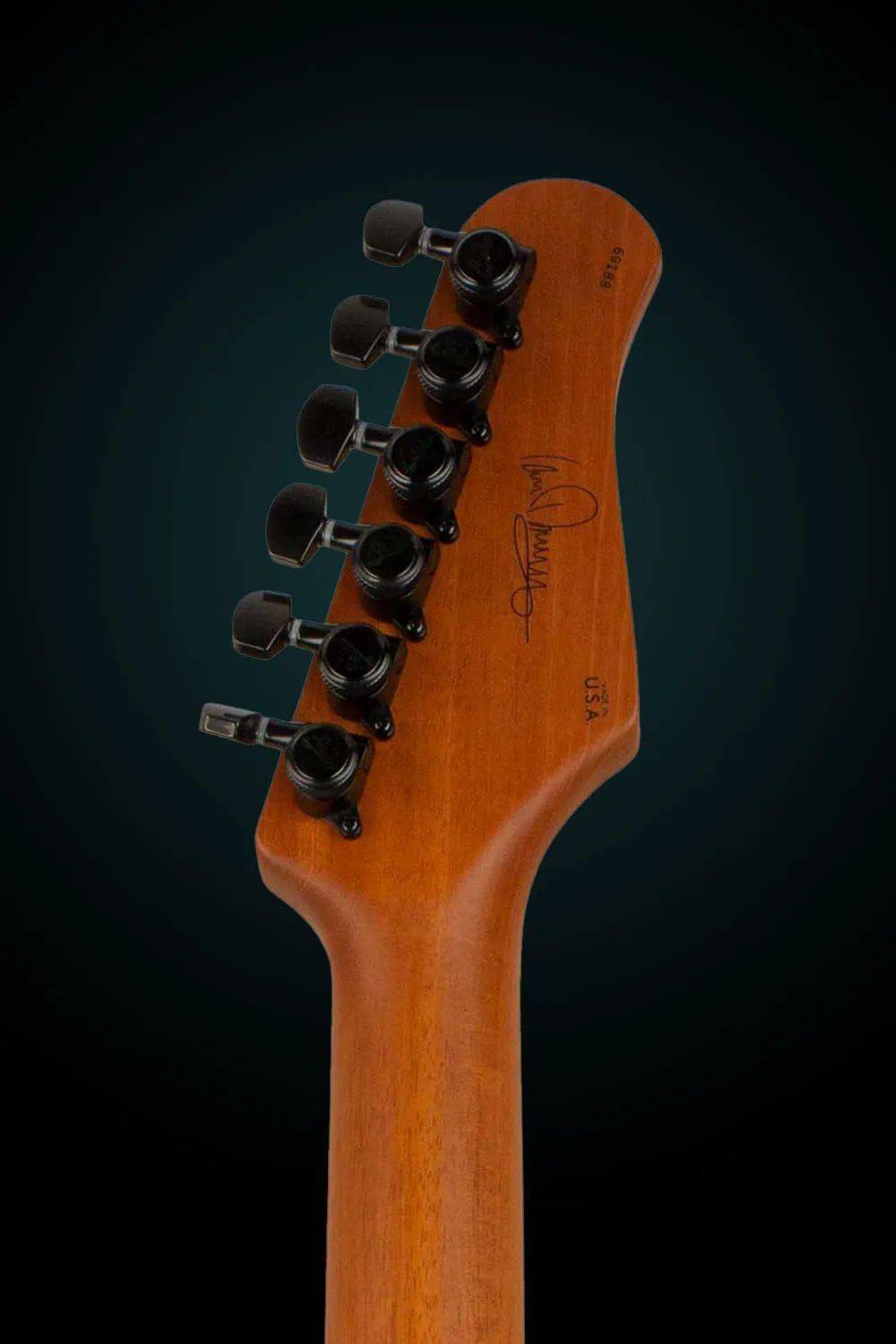 总有一款适合你_琴颈_拾音器_modern