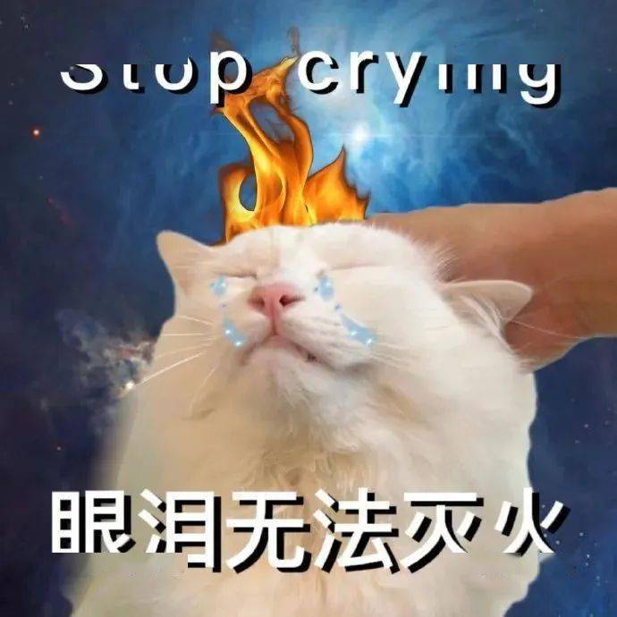 网络我不知道你在说什么有一说一小杰瑞问号表情包cr.