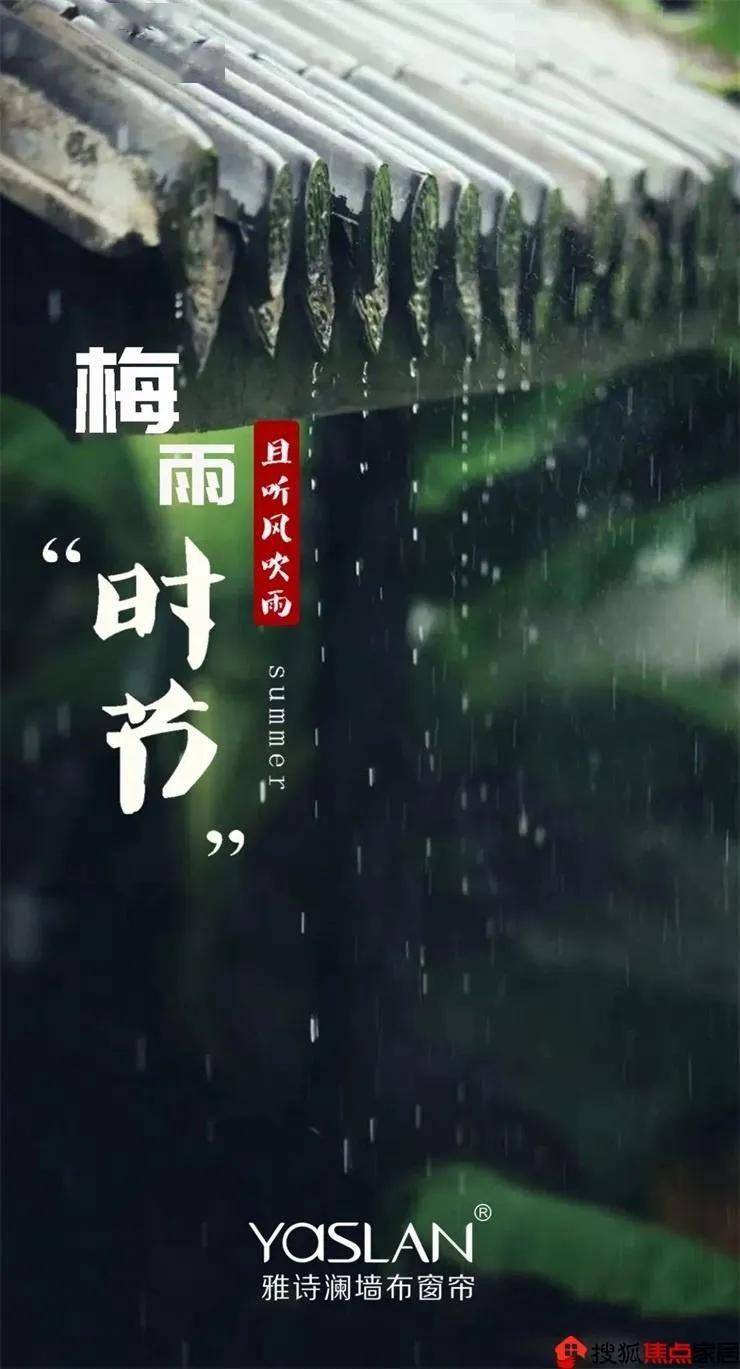 早梅迎雨水图片