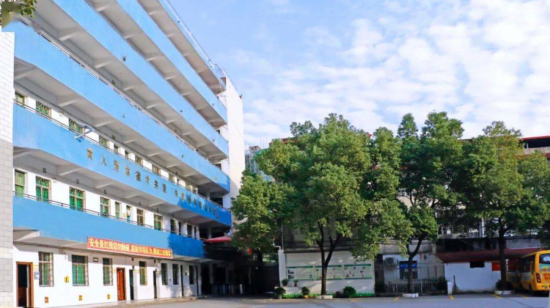 振兴学校2022年秋季招收体艺特长生公告